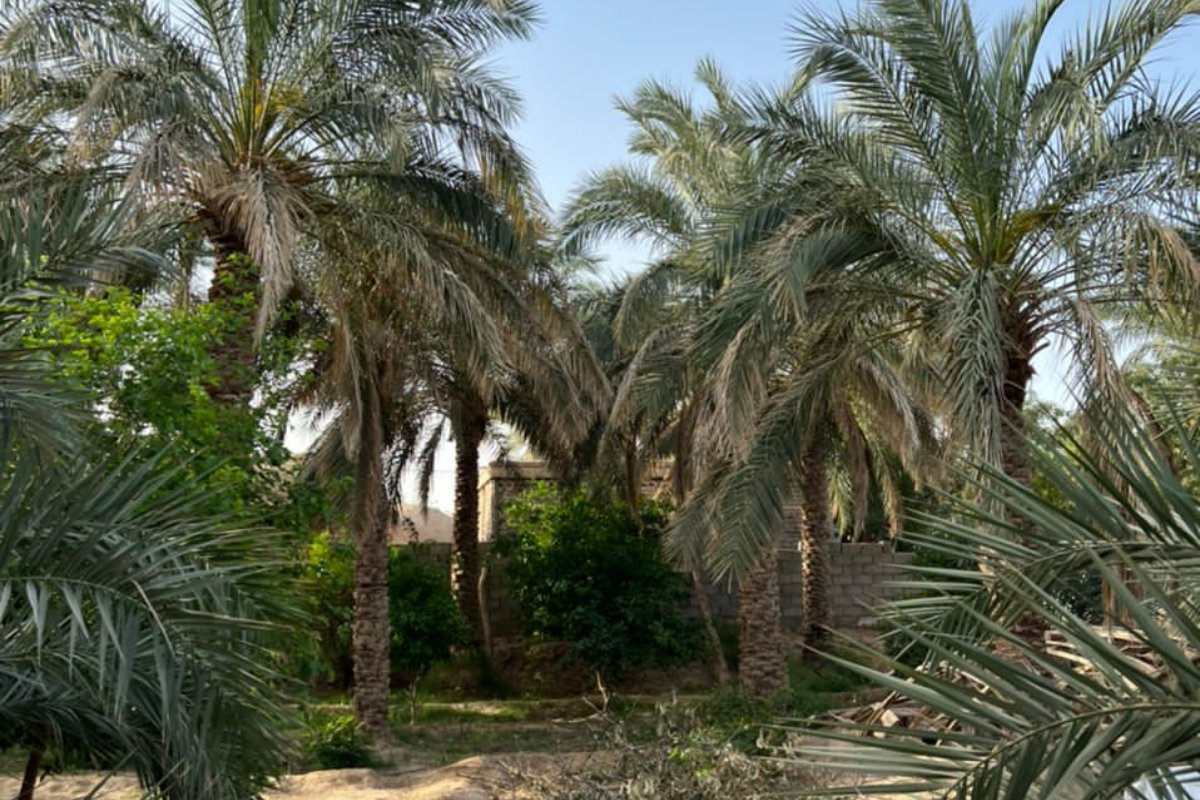 اتاق 30 متری | آفتاب ریگان، تصویر ۳