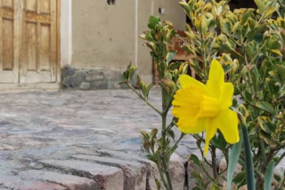 اتاق 16 متری 1 | بومگردی ظهرود، تصویر ۳