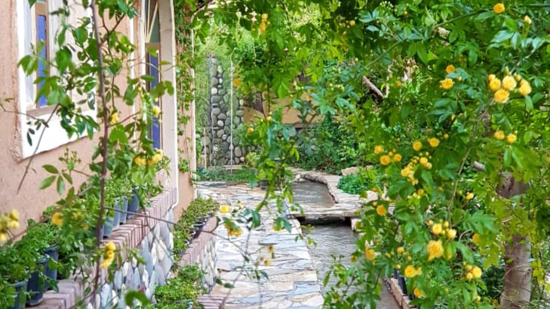 اقامتگاه بومگردی شاردون