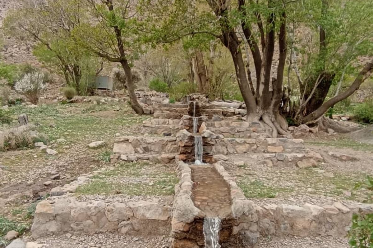 اتاق دو نفره 1 | ندنوییه بی بی حیات، تصویر ۳