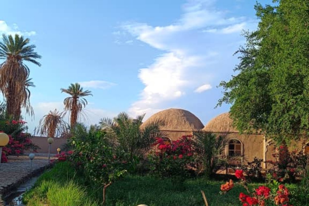 سوییت مستر 2 | درک دلبر، تصویر ۳