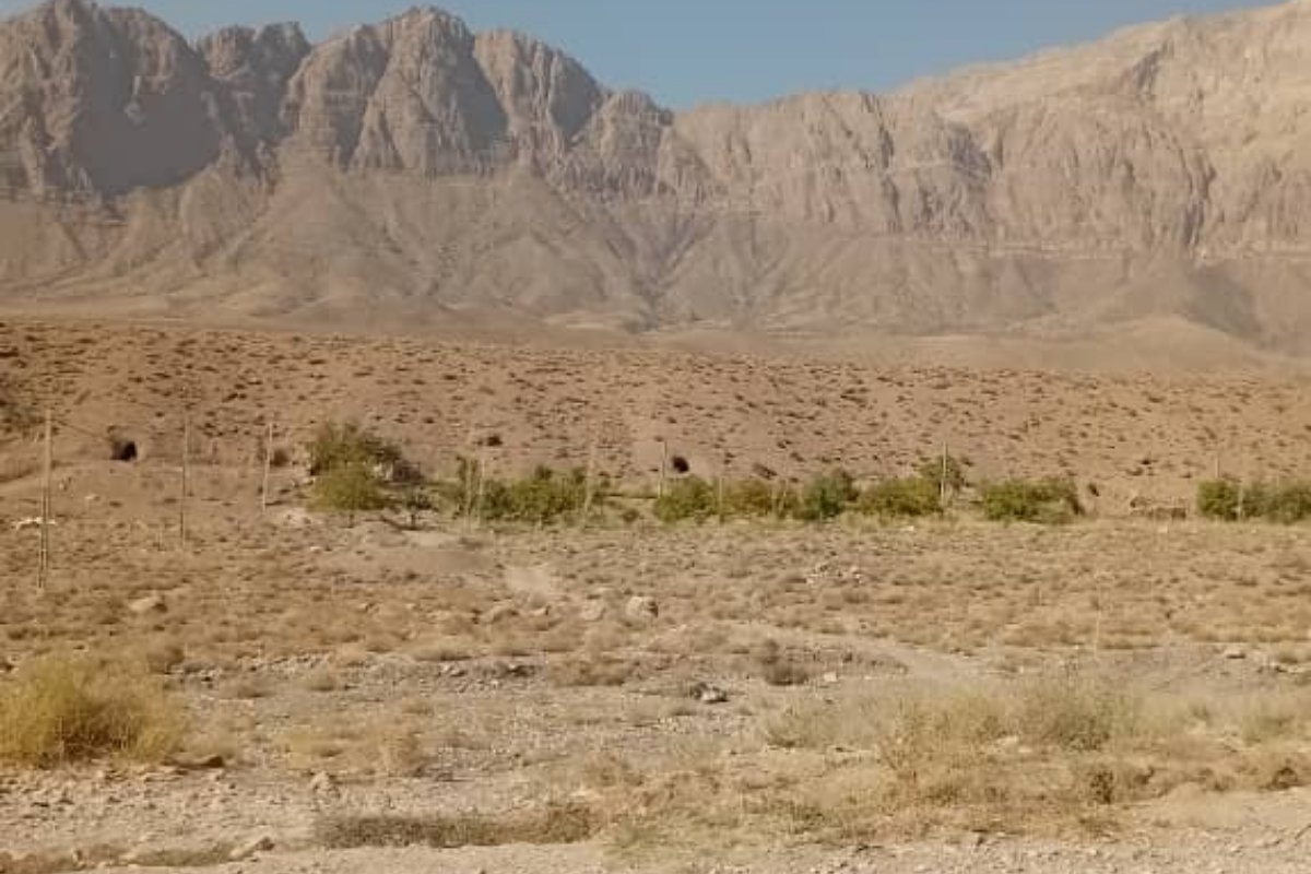 اتاق 1 | اقامتگاه کهن یاور، تصویر ۳
