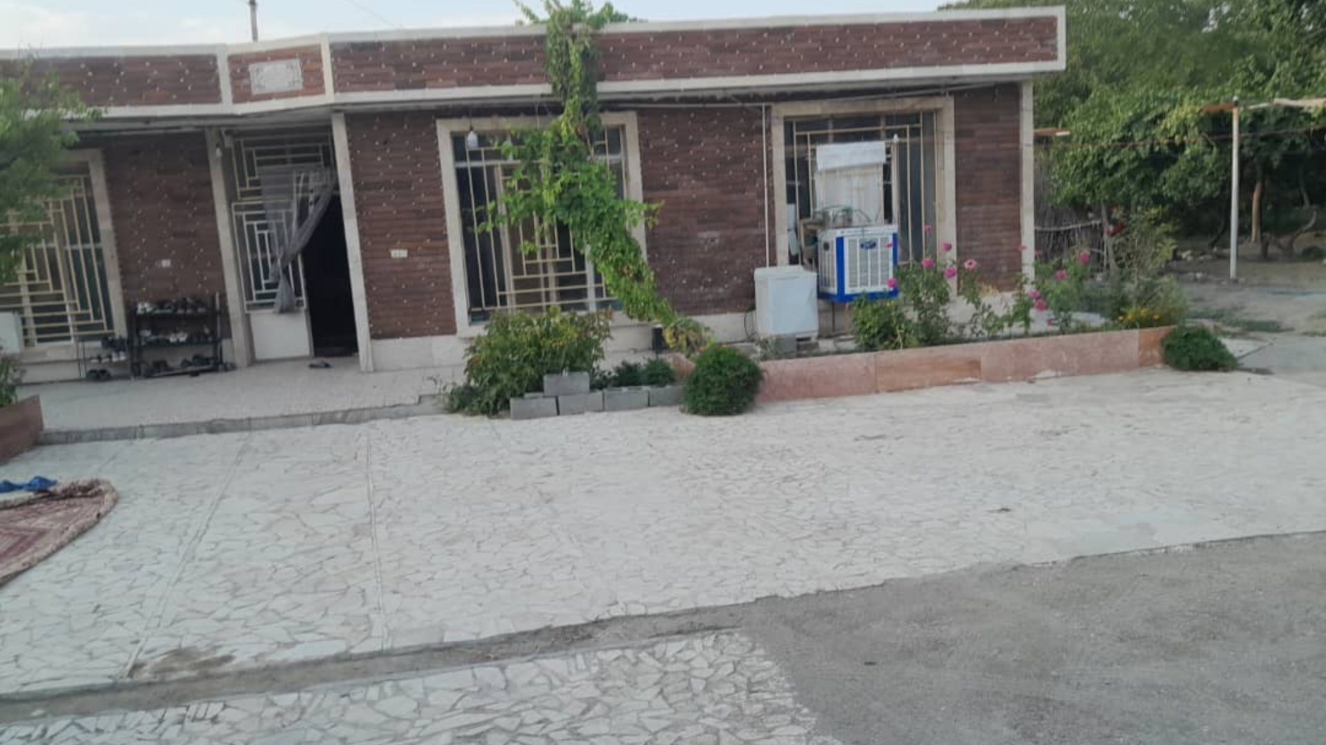 زیره، تصویر ۳
